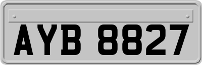 AYB8827