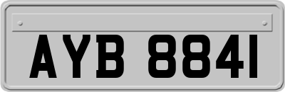 AYB8841