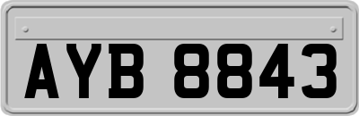 AYB8843