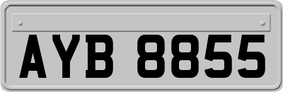 AYB8855