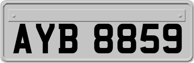 AYB8859