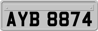 AYB8874