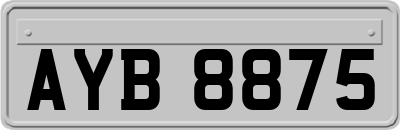 AYB8875