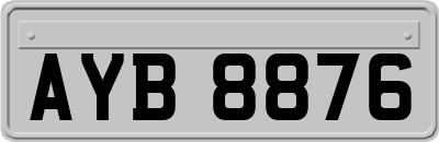 AYB8876