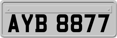 AYB8877