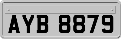 AYB8879