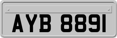 AYB8891