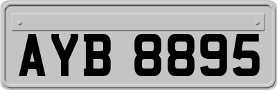 AYB8895