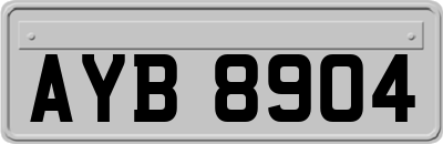 AYB8904