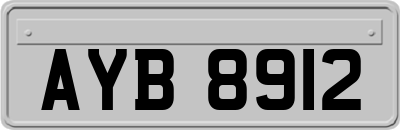 AYB8912