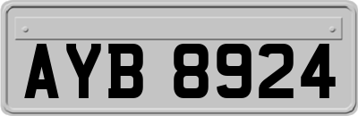 AYB8924