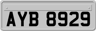AYB8929