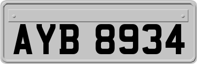AYB8934