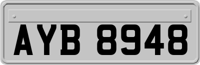 AYB8948