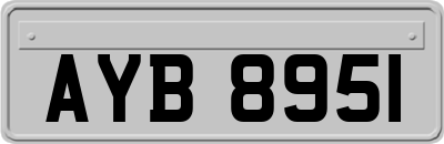 AYB8951