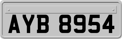 AYB8954