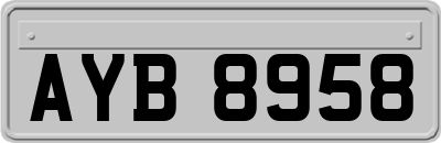 AYB8958