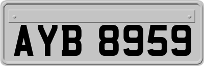 AYB8959