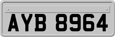 AYB8964