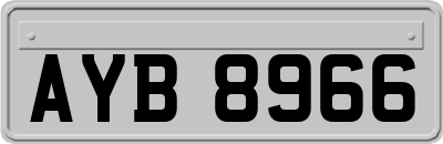 AYB8966