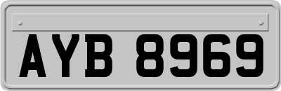 AYB8969
