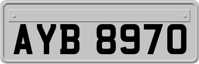 AYB8970