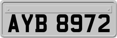 AYB8972