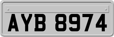 AYB8974