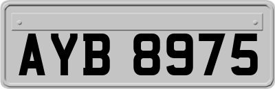 AYB8975