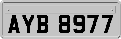 AYB8977
