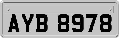 AYB8978