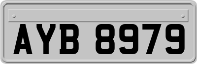 AYB8979