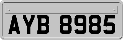 AYB8985