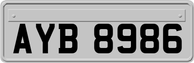 AYB8986
