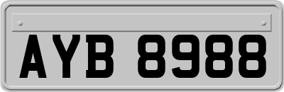 AYB8988