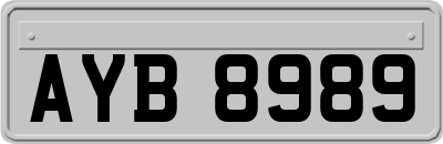 AYB8989