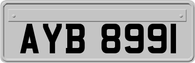 AYB8991