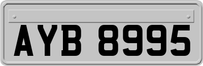 AYB8995