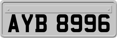 AYB8996