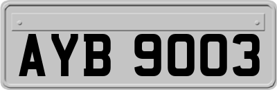 AYB9003