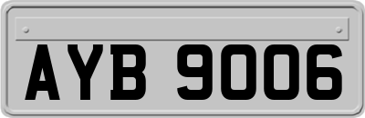 AYB9006