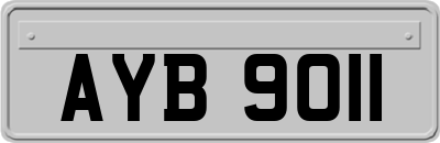 AYB9011