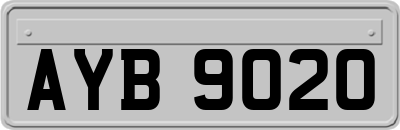 AYB9020