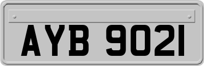 AYB9021