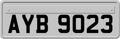 AYB9023
