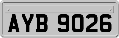 AYB9026