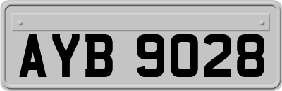 AYB9028