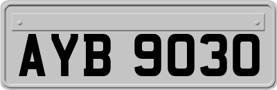 AYB9030