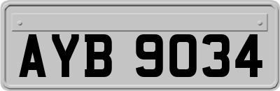 AYB9034