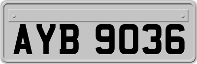 AYB9036